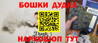 spice Кинель