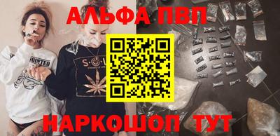 твердый Кингисепп