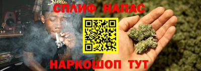 твердый Кингисепп