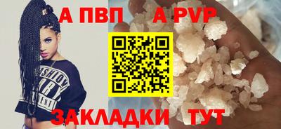 твердый Кингисепп