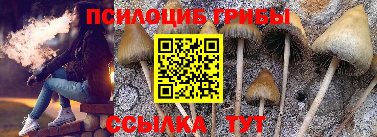 Галлюциногенные грибы ЛСД Благовещенск