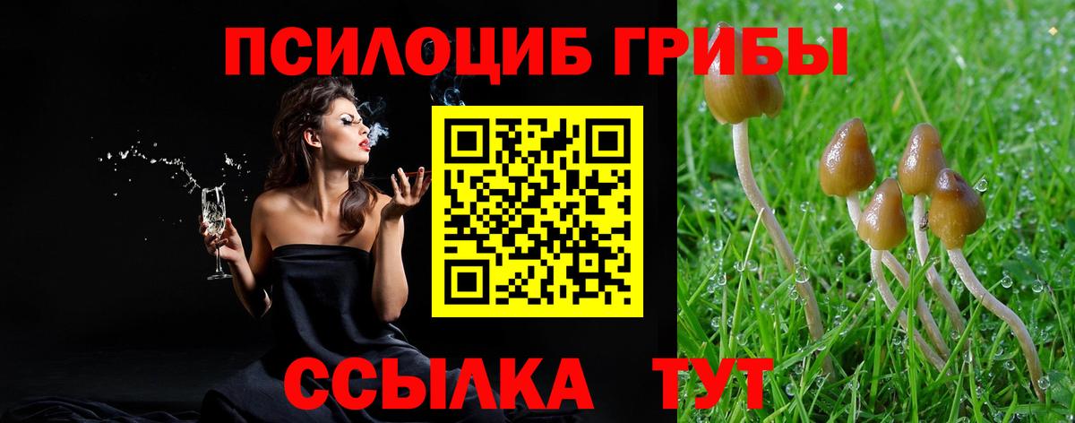 Псилоцибиновые грибы MAGIC MUSHROOMS  Вход с VPN  цена   Благовещенск 